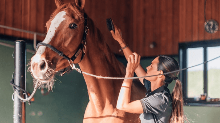 How Rescue Organizations Support Former Racers