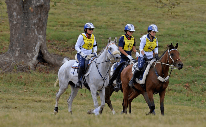 How to Watch and Understand a Horse Race Like a Pro