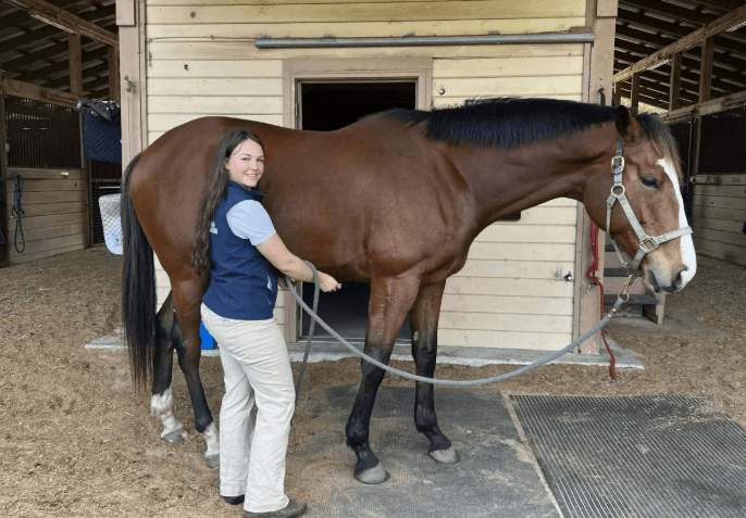 How Trainers Keep Horses Mentally Focused