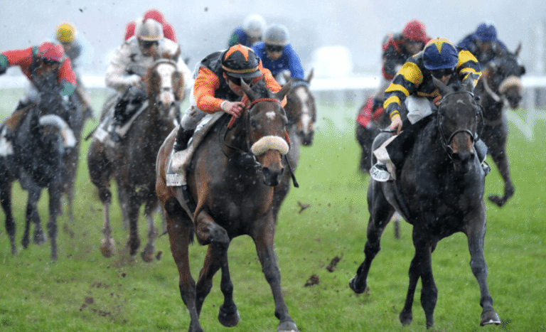 How Weather and Track Conditions Affect Race Performance