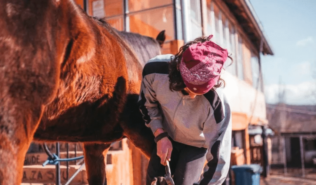 barthturf || barthturf burkina